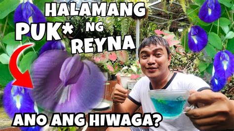 pukeng malaki